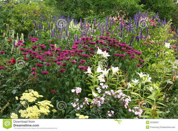 traditional-english-garden-plants-66_3 Традиционни английски градински растения