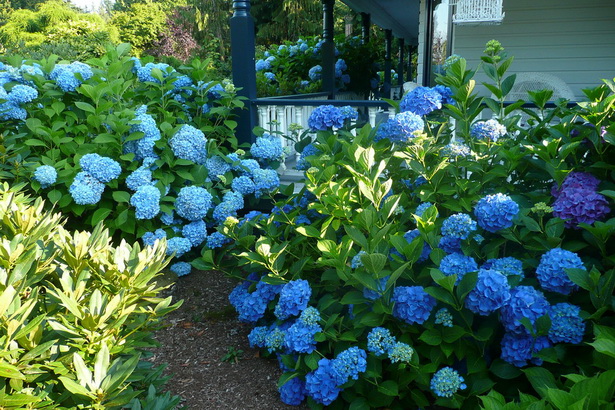 traditional-front-yard-landscaping-ideas-30_9 Традиционни идеи за озеленяване на предния двор