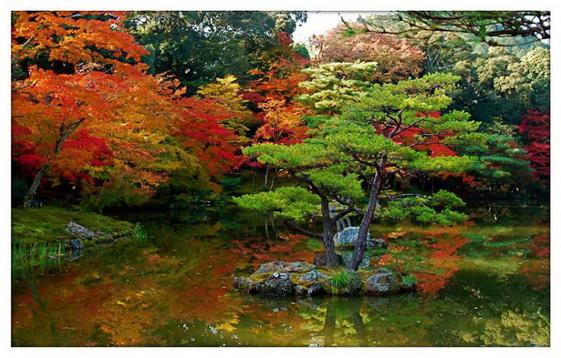 traditional-japanese-garden-58_9 Традиционна японска градина