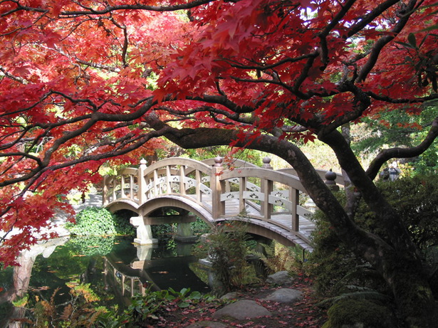 traditional-japanese-gardens-53_16 Традиционни японски градини