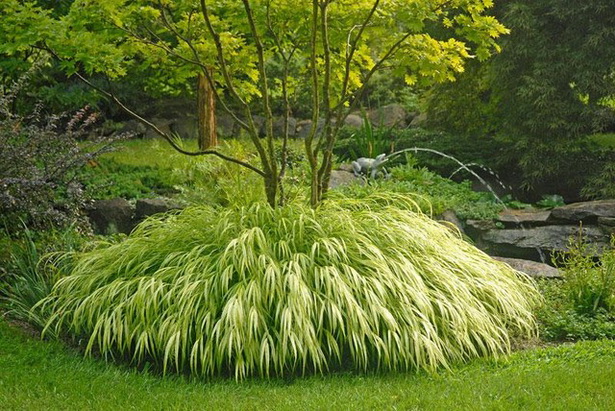 traditional-japanese-plants-39_12 Традиционни японски растения