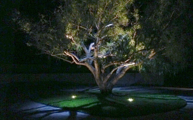 tree-landscape-lighting-24_17 Дърво пейзаж осветление