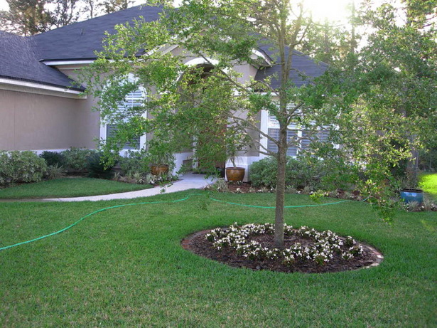 tree-landscaping-ideas-front-yard-35_8 Дърво озеленяване идеи преден двор
