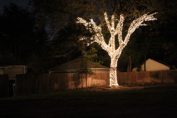 tree-lighting-ideas-20_11 Идеи за осветление на дървета