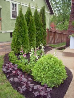 trees-for-landscaping-front-yard-22_15 Дървета за озеленяване на предния двор