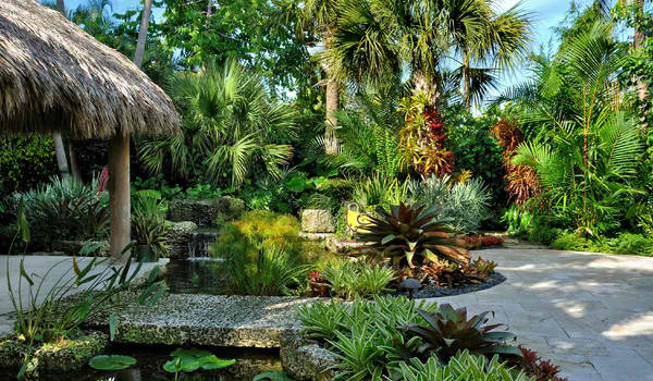 tropical-backyard-decor-85_15 Тропически декор на задния двор