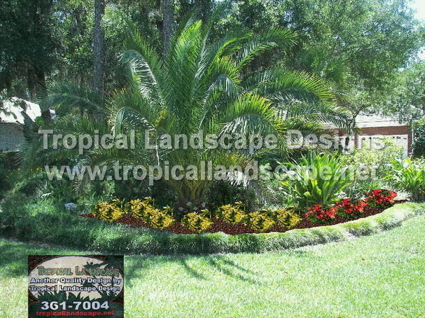 tropical-backyard-design-ideas-76_15 Тропически идеи за дизайн на задния двор