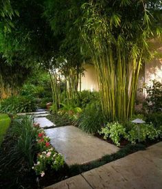 tropical-backyard-design-73_10 Тропически дизайн на задния двор
