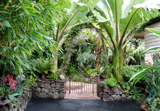 tropical-backyard-design-73_4 Тропически дизайн на задния двор