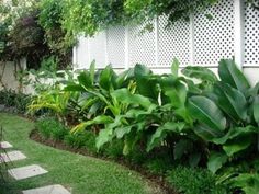 tropical-backyard-gardens-03_4 Тропически двор градини
