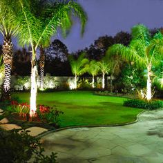 tropical-backyard-ideas-90_17 Тропически идеи за задния двор