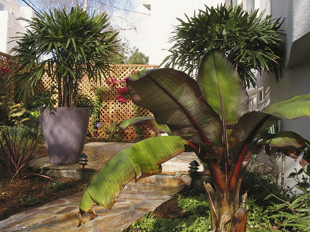 tropical-backyard-landscaping-ideas-50_14 Идеи за озеленяване на тропически двор