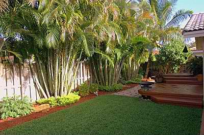 tropical-backyard-landscaping-ideas-50_19 Идеи за озеленяване на тропически двор