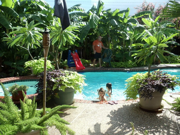 tropical-backyard-landscaping-ideas-50_5 Идеи за озеленяване на тропически двор
