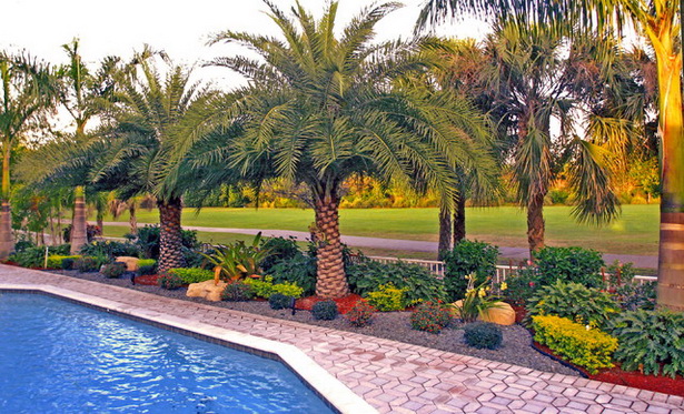 tropical-backyard-landscaping-83_9 Тропически двор озеленяване