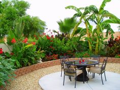 tropical-backyard-plants-94_12 Тропически градински растения