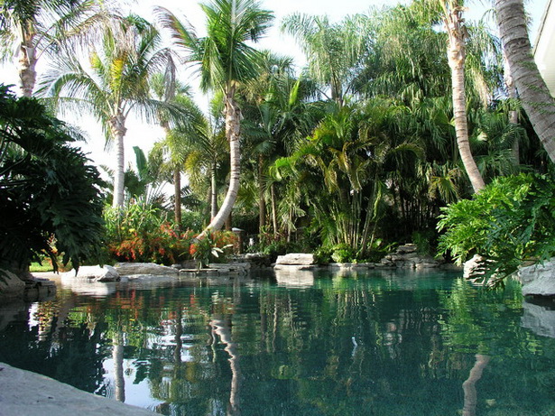 tropical-backyard-pool-designs-94_7 Тропически дизайн на басейни в задния двор