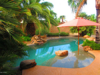 tropical-backyard-pool-54_13 Тропически двор басейн