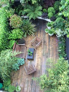 tropical-courtyard-garden-design-47_4 Тропически двор градински дизайн