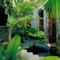 tropical-courtyard-garden-design-47_5 Тропически двор градински дизайн