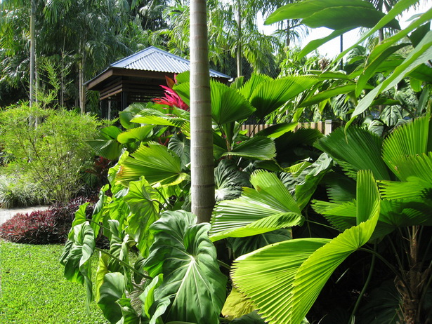 tropical-courtyard-garden-design-47_9 Тропически двор градински дизайн