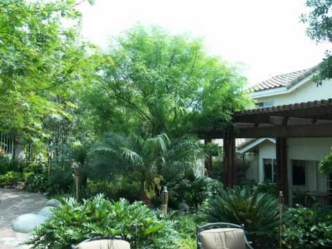 tropical-effects-landscaping-86 Тропически ефекти озеленяване
