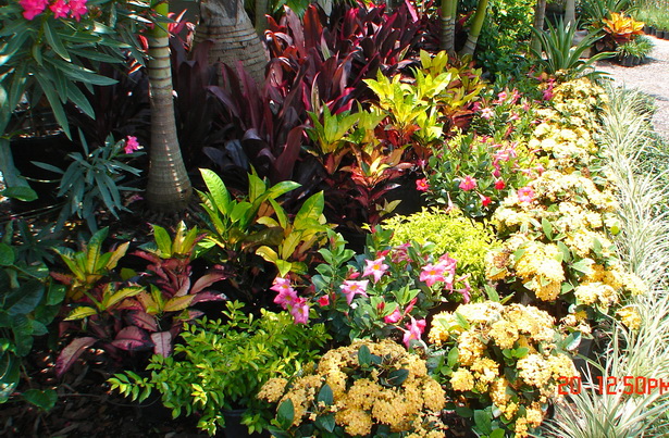 tropical-effects-landscaping-86_3 Тропически ефекти озеленяване