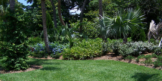 tropical-effects-landscaping-86_6 Тропически ефекти озеленяване