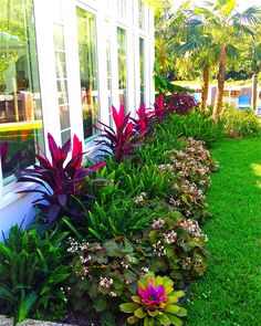 tropical-flower-bed-designs-58_14 Тропически цветни лехи