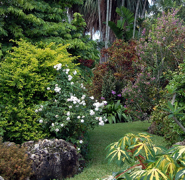 Тропически цветна градина ландшафтен дизайн