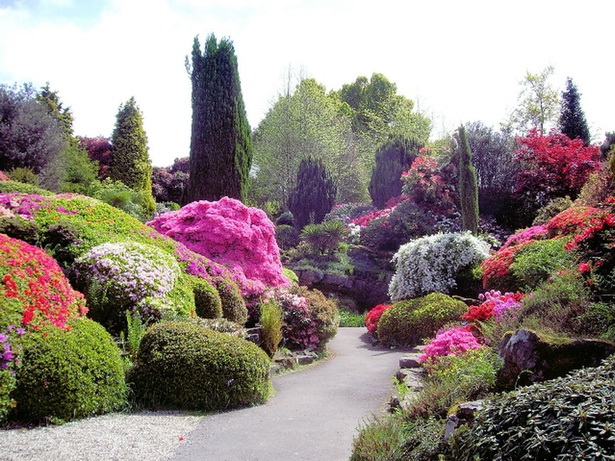tropical-flower-garden-landscape-designs-24_16 Тропически цветна градина ландшафтен дизайн