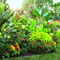 tropical-flower-garden-landscape-designs-24_4 Тропически цветна градина ландшафтен дизайн