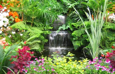 tropical-flower-garden-landscape-designs-24_6 Тропически цветна градина ландшафтен дизайн
