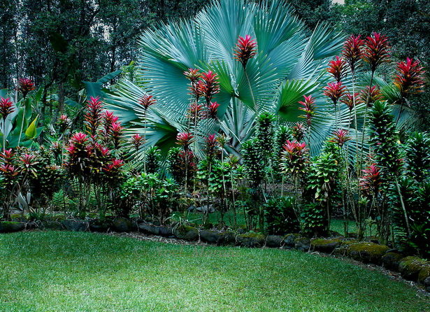 tropical-flower-garden-99_10 Тропическа цветна градина