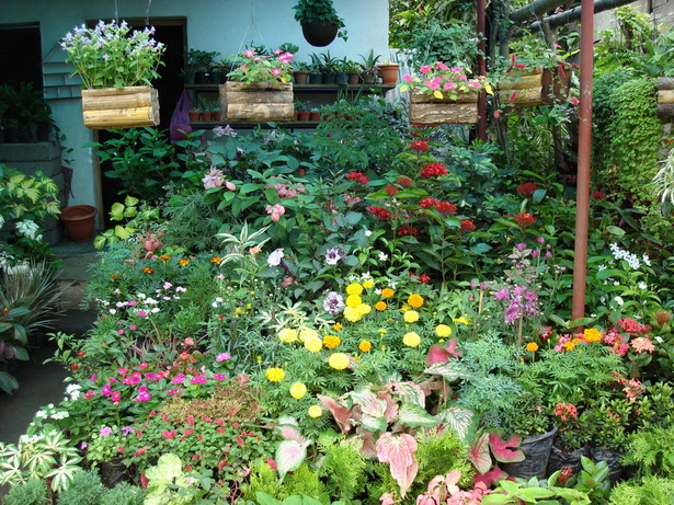 tropical-flower-garden-99_18 Тропическа цветна градина