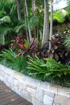 tropical-front-garden-18_10 Тропическа предна градина