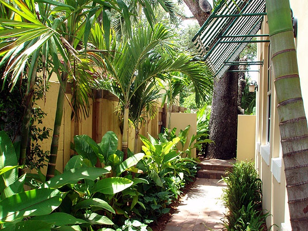 tropical-front-garden-18_18 Тропическа предна градина