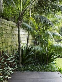 tropical-garden-bed-ideas-75_10 Идеи за тропическа градина