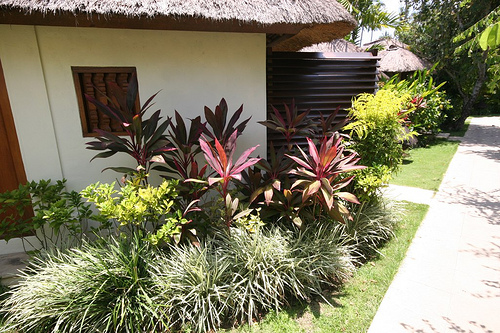tropical-garden-bed-ideas-75_13 Идеи за тропическа градина