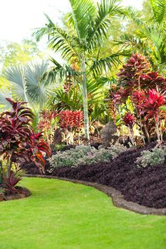 tropical-garden-bed-ideas-75_15 Идеи за тропическа градина