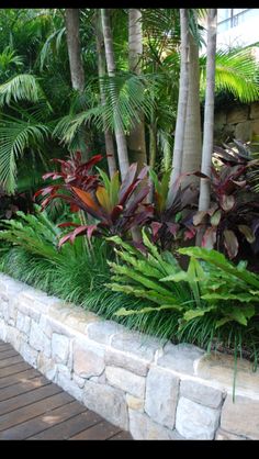 tropical-garden-bed-ideas-75_3 Идеи за тропическа градина