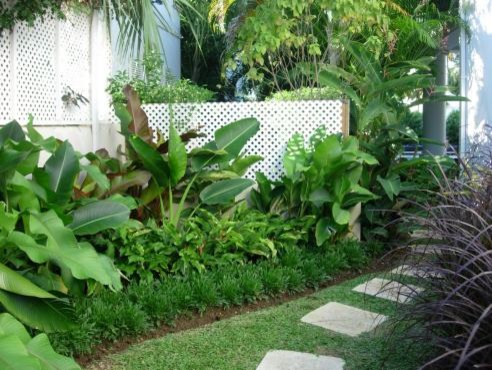 tropical-garden-bed-ideas-75_7 Идеи за тропическа градина