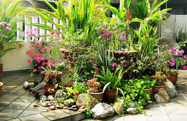 tropical-garden-bed-ideas-75_9 Идеи за тропическа градина