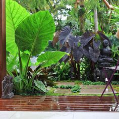 tropical-garden-design-ideas-33_20 Идеи за дизайн на тропически градини