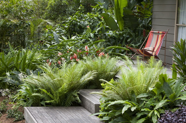 tropical-garden-landscape-78 Тропически градински пейзаж