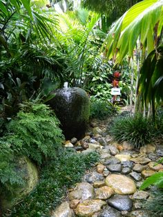 tropical-garden-paths-70 Тропически градински пътеки