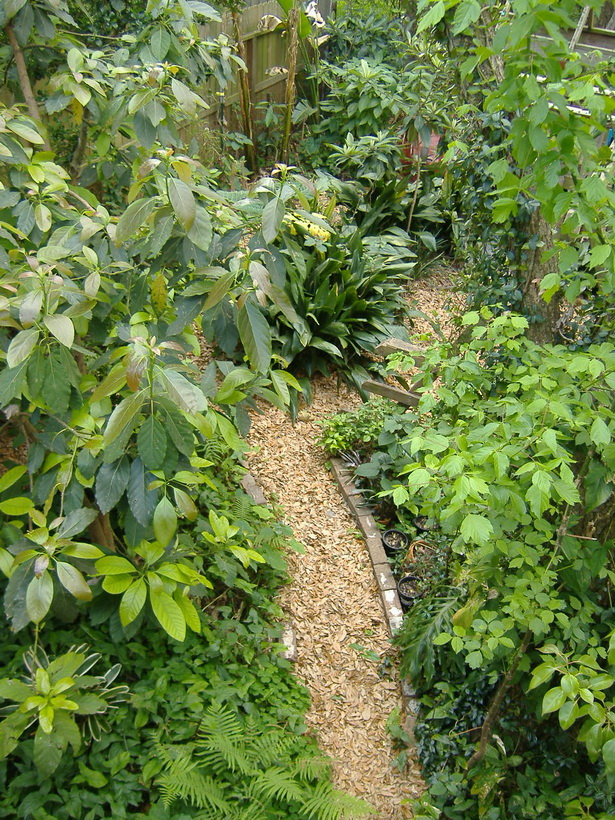tropical-garden-paths-70_11 Тропически градински пътеки