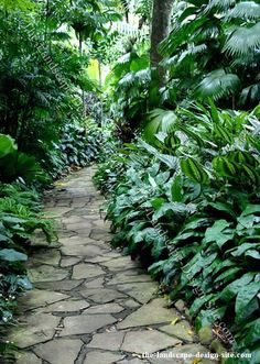 tropical-garden-paths-70_13 Тропически градински пътеки