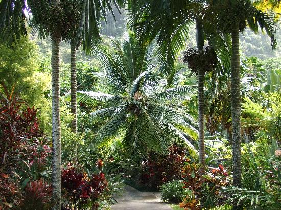 tropical-garden-paths-70_18 Тропически градински пътеки