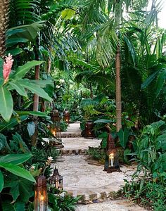 tropical-garden-paths-70_2 Тропически градински пътеки